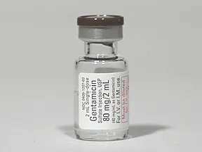gentamicin 40 mg/mL injection solution