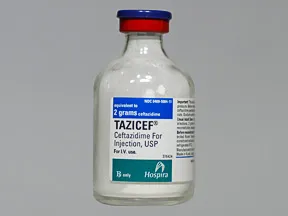 Tazicef 2 gram solution for injection