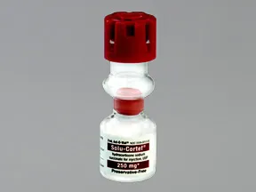 Solu-Cortef Act-O-Vial (PF) 250 mg/2 mL solution for injection