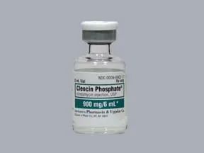 Cleocin 150 mg/mL injection solution