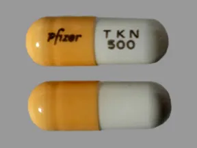 Tikosyn 500 mcg capsule