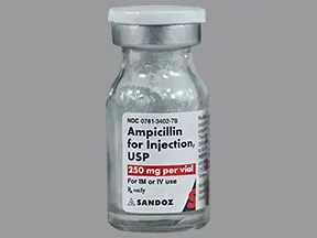 ampicillin 250 mg solution for injection