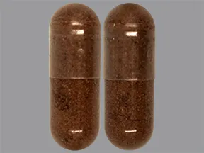 cinnamon bark 500 mg capsule