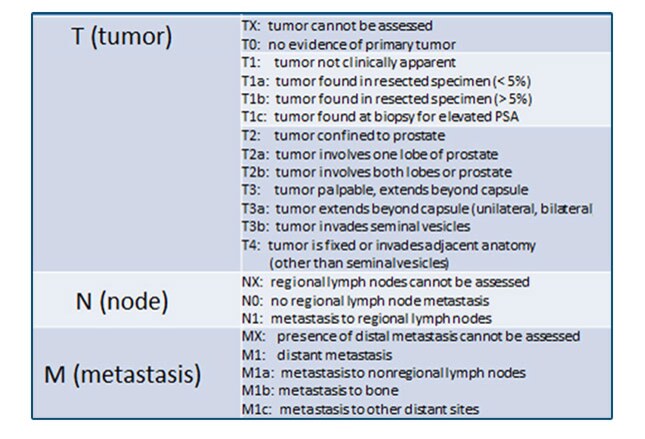 What are the signs and symptoms of bone metastasis?