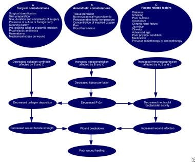 Factors that affect surgical wound healing. 