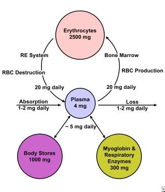 What are some signs of iron deficiency?