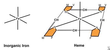Both nonheme iron and heme iron have 6 coordinatin