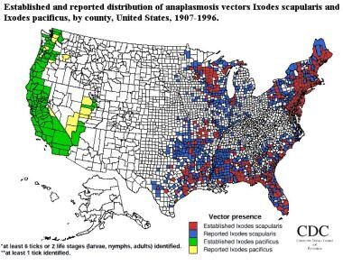 Established and reported distribution of anaplasmo