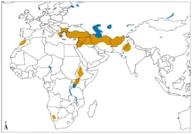 Geographical distribution of Old World cutaneous l