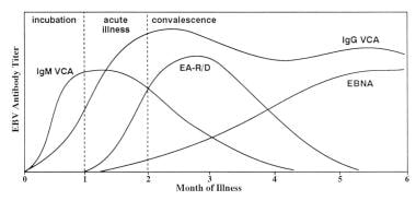 Infectious mononucleosis. Antibody response to Eps