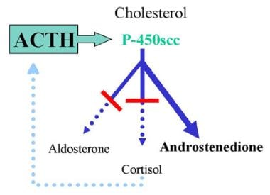 Mineralocorticoid activity of steroids