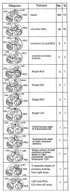 Thirteen patterns of origin and proximal epicardia
