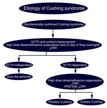 Glucocorticoid Therapy and Cushing Syndrome. Etiol