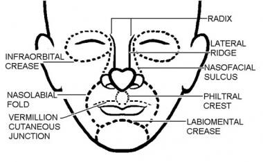 Cosmetic subunits. Illustrated by Charles Norman. 