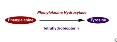 Phenylalanine hydroxylase converts phenylalanine t