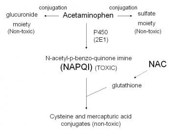 Acetaminophen metabolism. Courtesy of Wikimedia Co