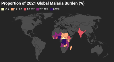 Proportion of 2021 Global Malaria Burden. Gray are