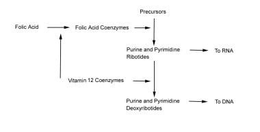 Are there any diseases that cause folic acid levels to elevate?