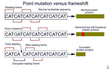 Point vs frameshift mutations. In contrast to most