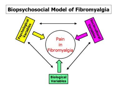 Biopsychosocial model of fibromyalgia. 