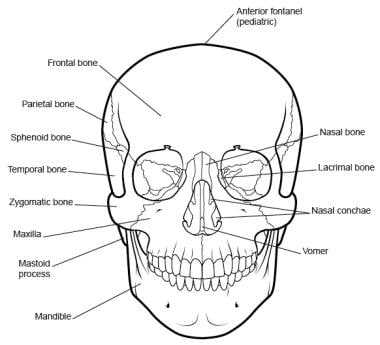 img.medscapestatic.com