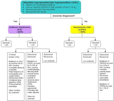 Types of idiopathic hypogonadotropic hypogonadism.