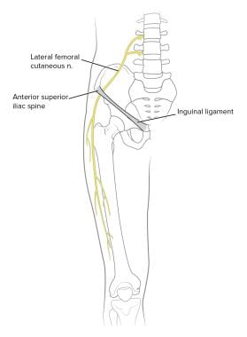 Anatomy of lateral femoral cutaneous nerve (LFCN).