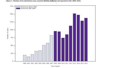 This graph displays the number of human cases of e