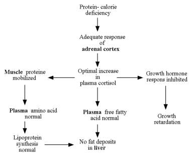 Hormonal adaptation to the stress of malnutrition.