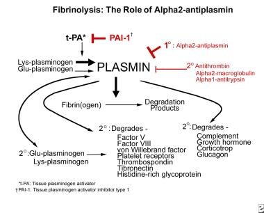 The role of alpha2-plasmin inhibitor (alpha2-antip