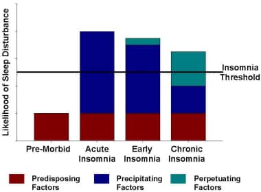 Theoretical model of the factors causing chronic i