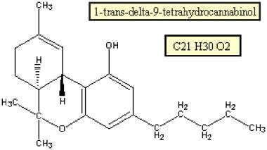 The major psychoactive component of marijuana is t