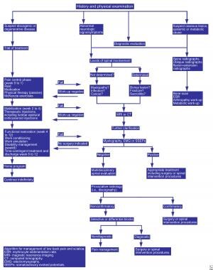 Algorithm for the management of low back pain and 