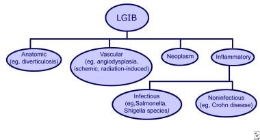 Types of lower gastrointestinal bleeding (LGIB). 
