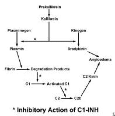 The mechanism of angioedema resulting from C1-este