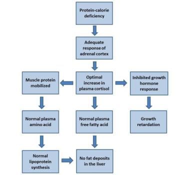 Hormonal adaptation to the stress of malnutrition: