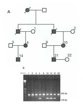 Prenatal diagnosis for congenital malformations an