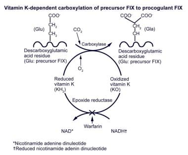 Vitamin K–dependent carboxylation of precursor fac