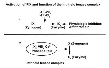 Activation of factor IX and function of the intrin