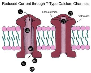 Low-voltage calcium (Ca2+) currents (T-type) are r