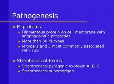 Description of M proteins and streptococcal toxins