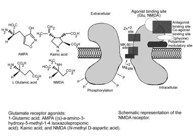 Schematic representation of N-methyl-D-aspartate (