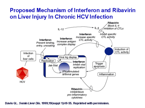 Interferon And Ribavirin Dosage