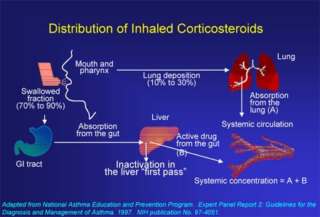 Corticosteroid inhaler mechanism of action