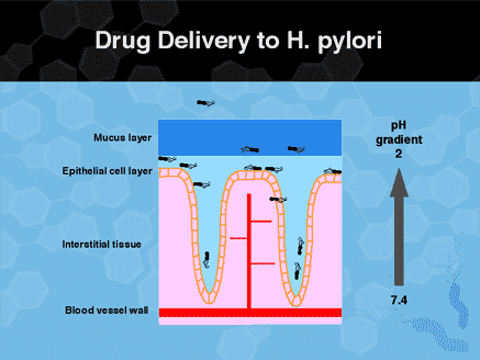 How do you cure H. pylori?