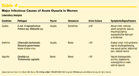 acute dysuria antibiotic cystitis uncomplicated hematuria