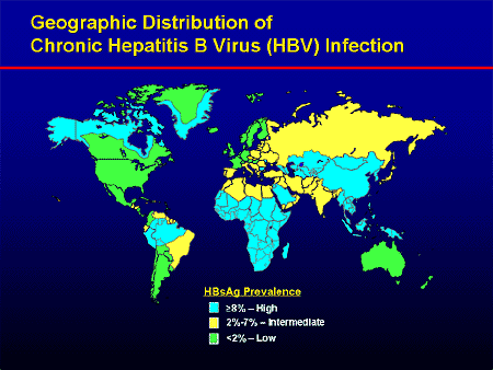 Increasing Efficacy In Chronic Hepatitis B: Evidence-Based Strategies