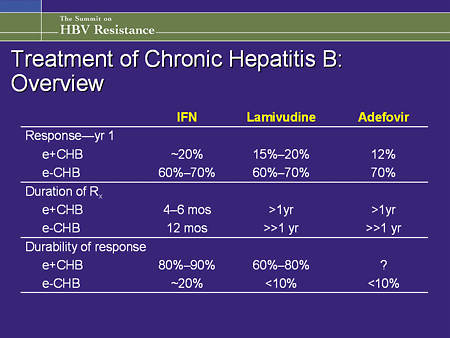 Highlights From The Summit On HBV Resistance