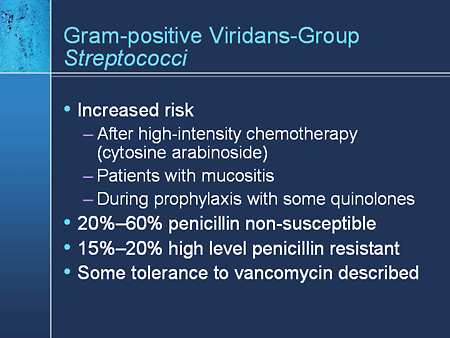 What are viridans streptococci?