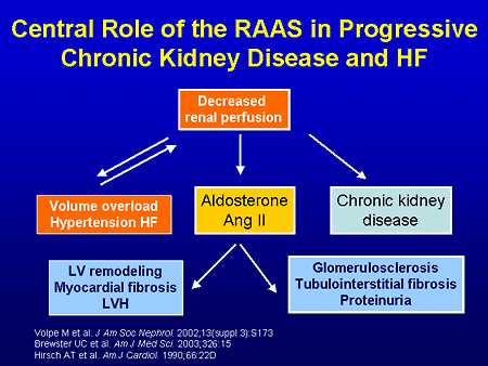 chronic kidney disease term paper chronic kidney disease term paper